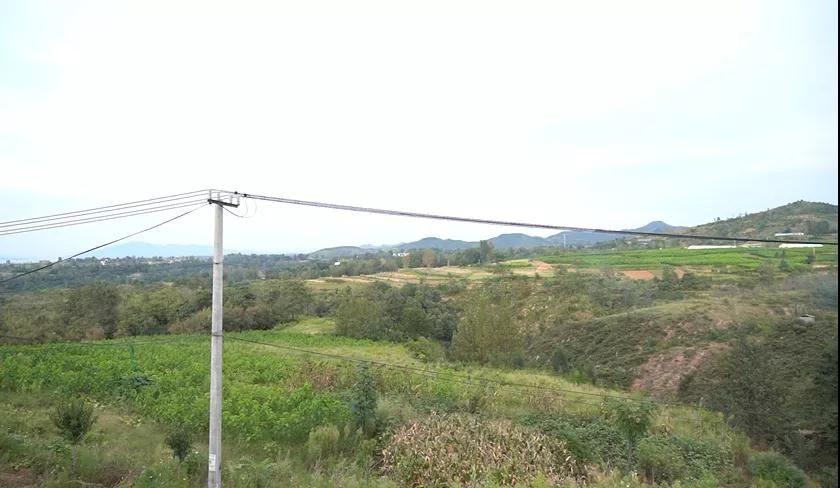 2020文都教育“溫度計劃”公益助學